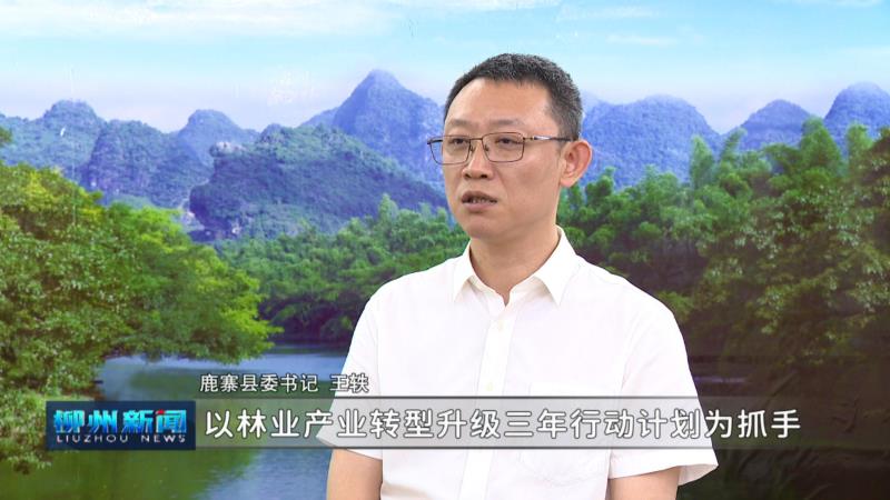 “同心克难、改革向新、重振柳州”县区委书记系列访谈丨鹿寨：坚定信心抓发展 狠抓落实谋新篇